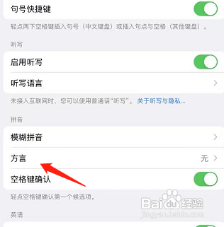 ipad pro怎么添加方言
