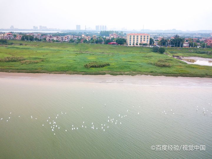 南海西樵山景点攻略