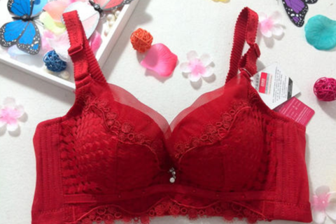 夏娃之秀与夏娃爱恋有什么不同