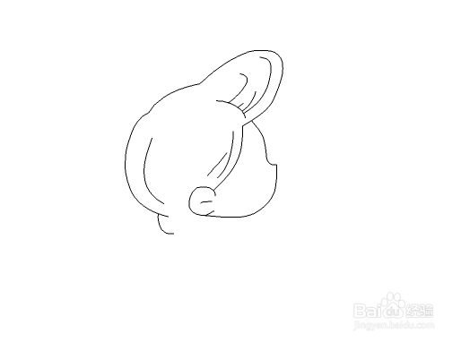 使用flash绘制矢量美女图