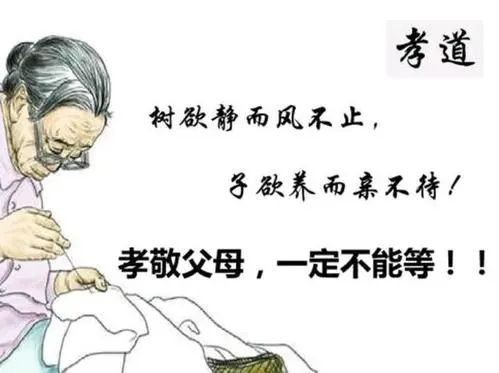 养儿方知父母恩下一句是什么