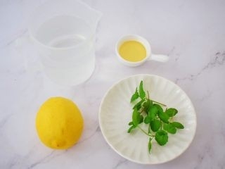 夏季饮品柠檬薄荷饮