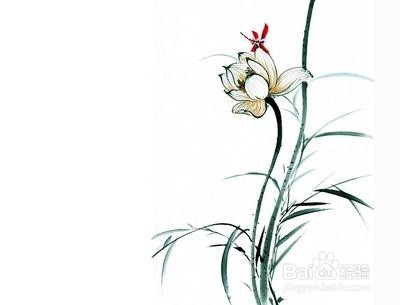 怎么写演讲稿？有什么技巧？