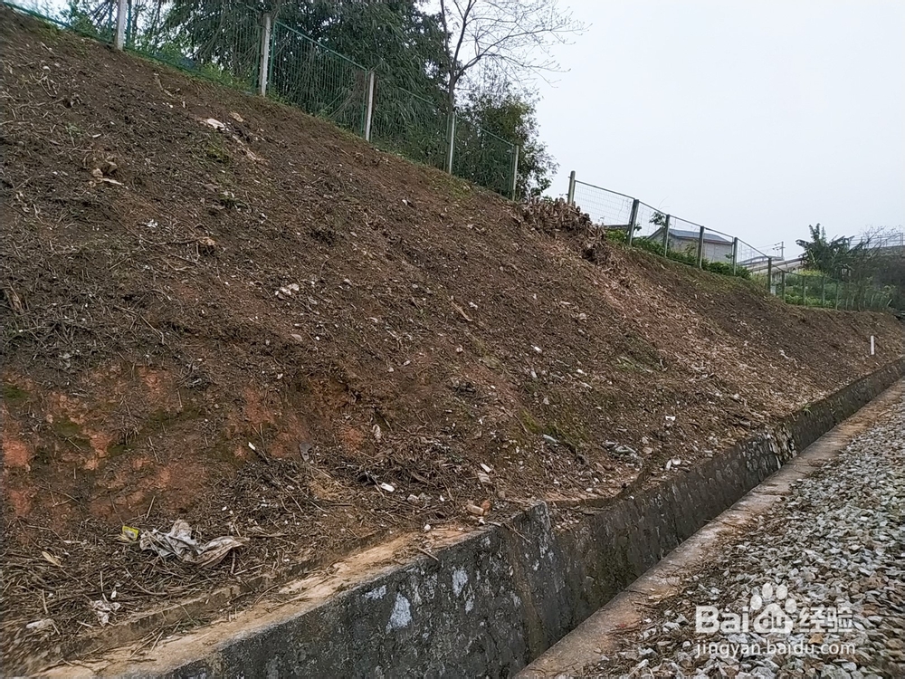压实地基施工的控制要素有哪些