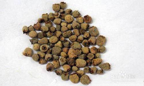 菟丝子甲鱼汤是怎么做的