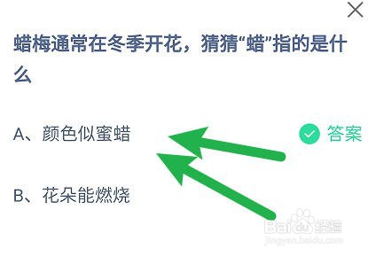 蜡梅通常在冬季开花，猜猜