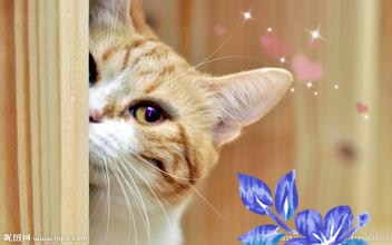 大学里面怎样处理交际