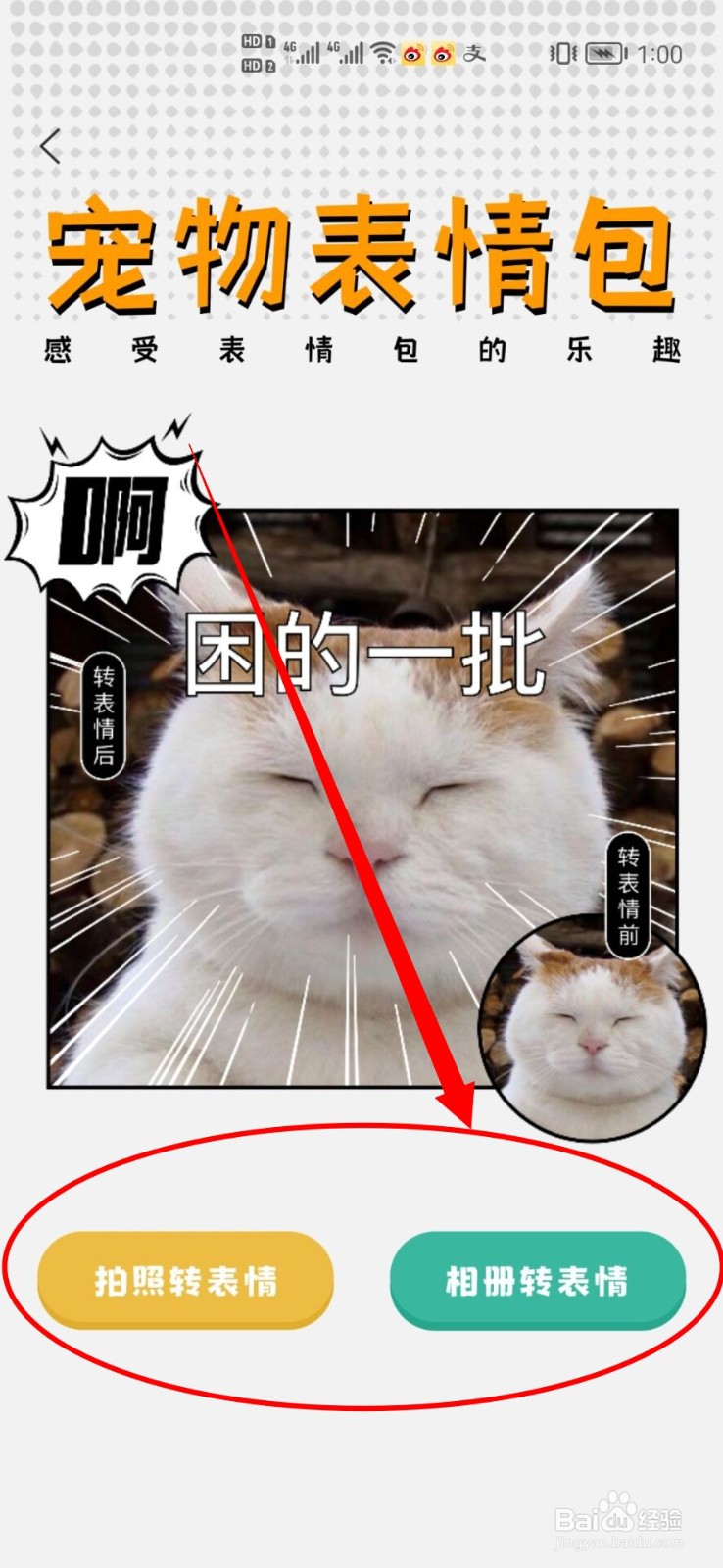 如何用宠胖胖制作宠物表情