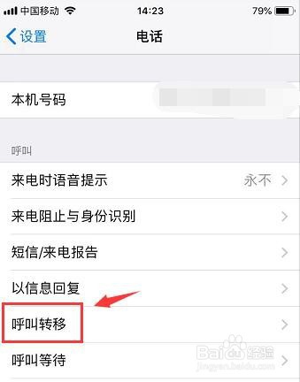 苹果手机呼叫转移在哪里设置