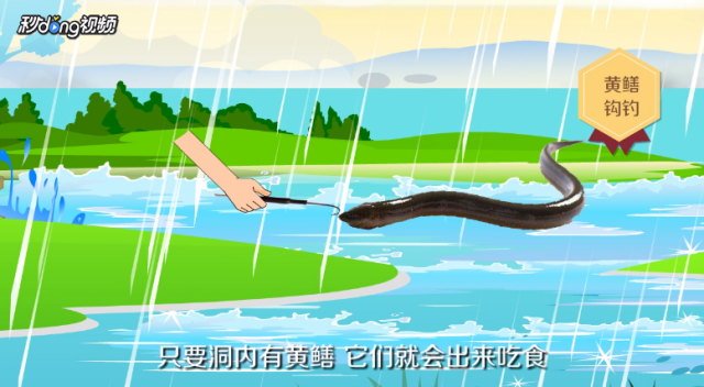 怎样才能捉到黄鳝（怎么才能捉到黄鳝）[图]