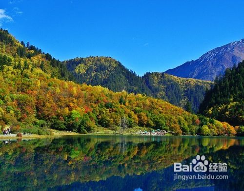 成都到九寨沟_成都到九寨沟旅游线路