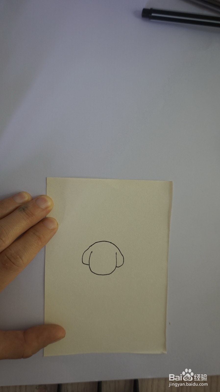 一起来画宠物狗的步骤