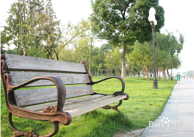 每天半小时减掉啤酒肚