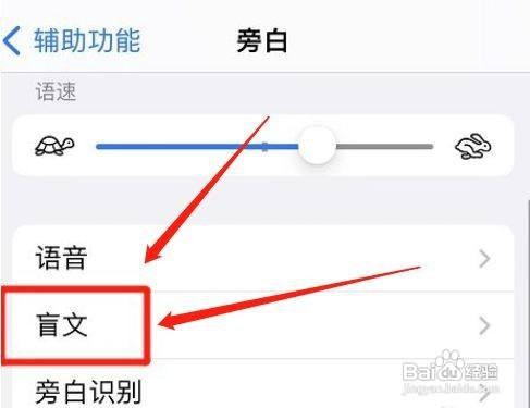如何输出苹果手机八点式盲文呢