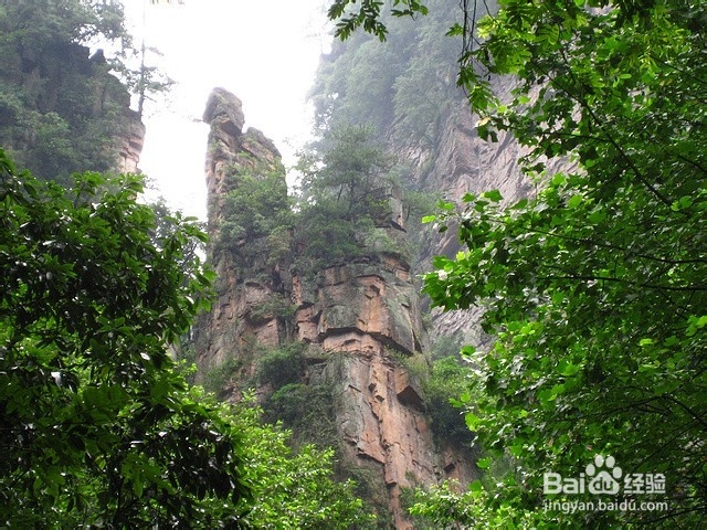 菏泽到张家界自驾游