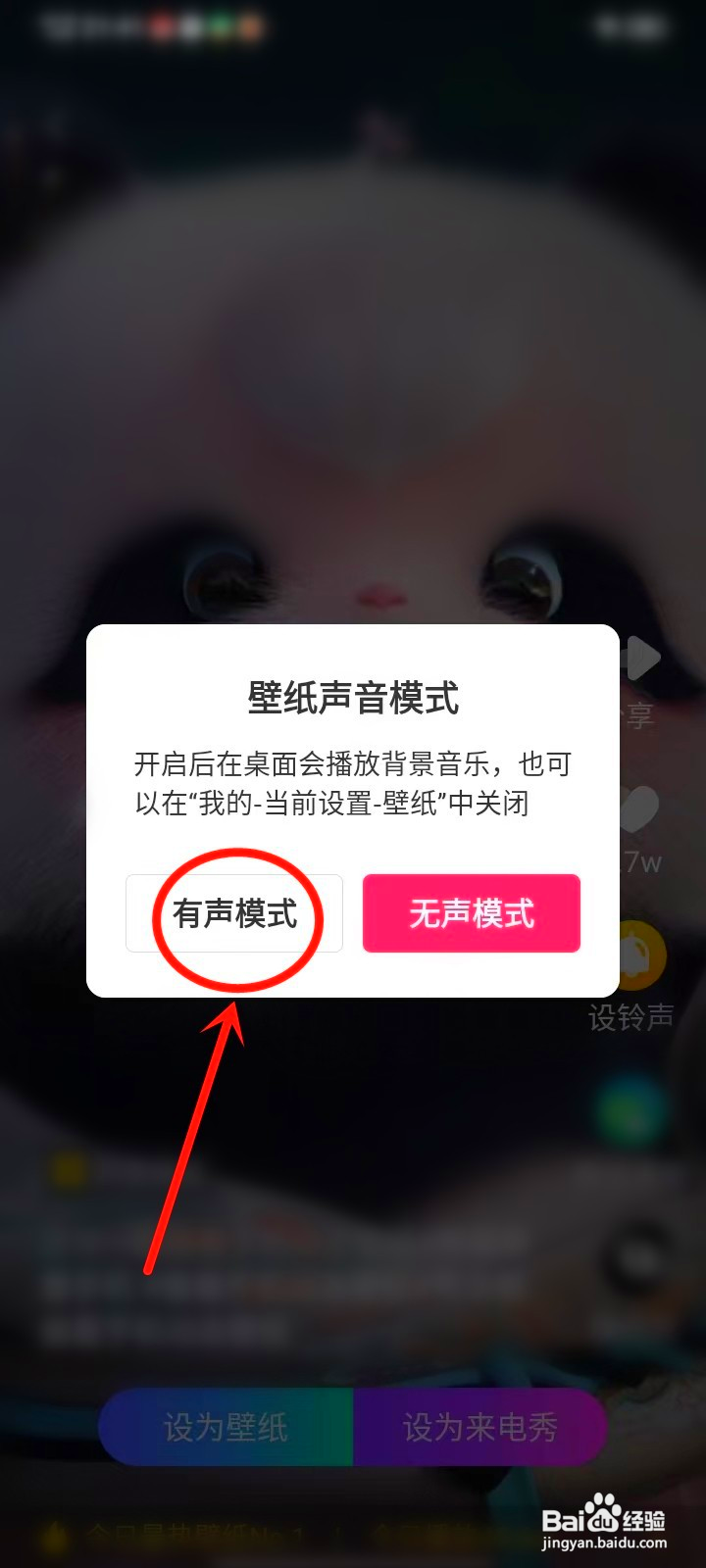 熊非熊动态壁纸怎么设置声音
