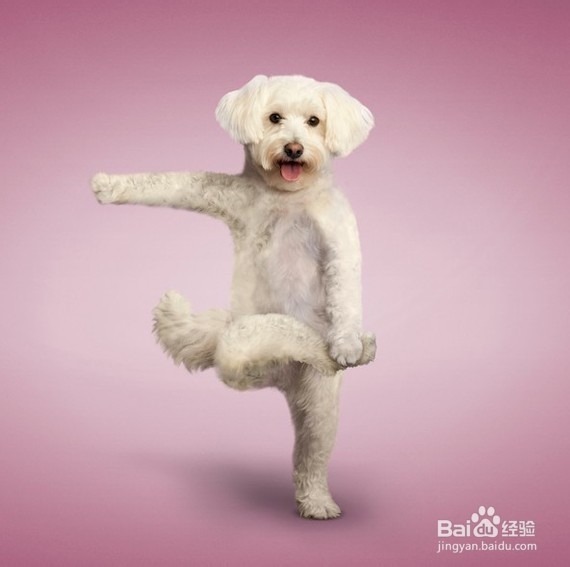 【小汇教你释放压力】两套减肥瑜伽操。