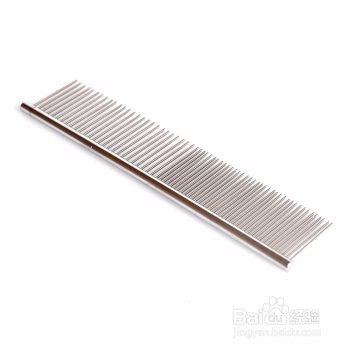 狗狗皮肤干燥有皮屑怎么办