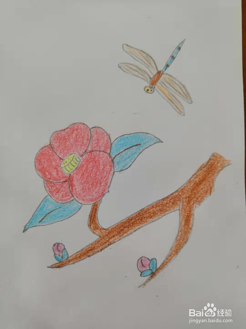 如何画梅花简笔画？