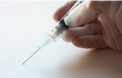 狗狗耳螨小妙招