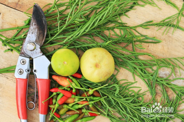 如何发挥出柠檬的独特作用？