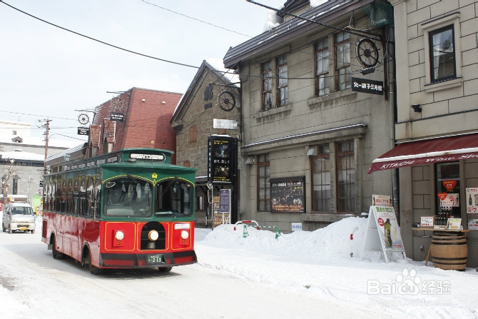 【日本】浪漫冬日 北海道の旅途（三）
