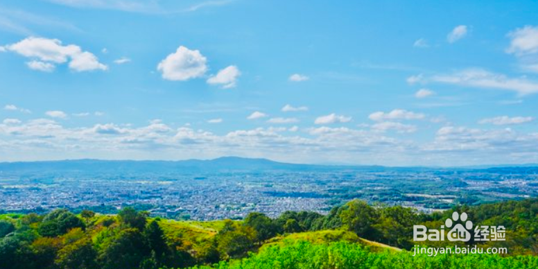 奈良自由旅游攻略