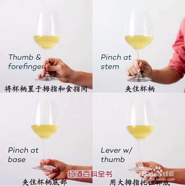 喝那么多红酒，你懂红酒杯么？