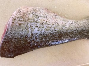 食补佳品砂锅番茄焖鱼的做法