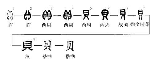 贝字的演变过程图片