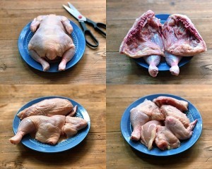 教你怎么做油焖童子鸡