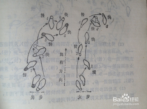 交际舞中探戈的基本舞步有哪些