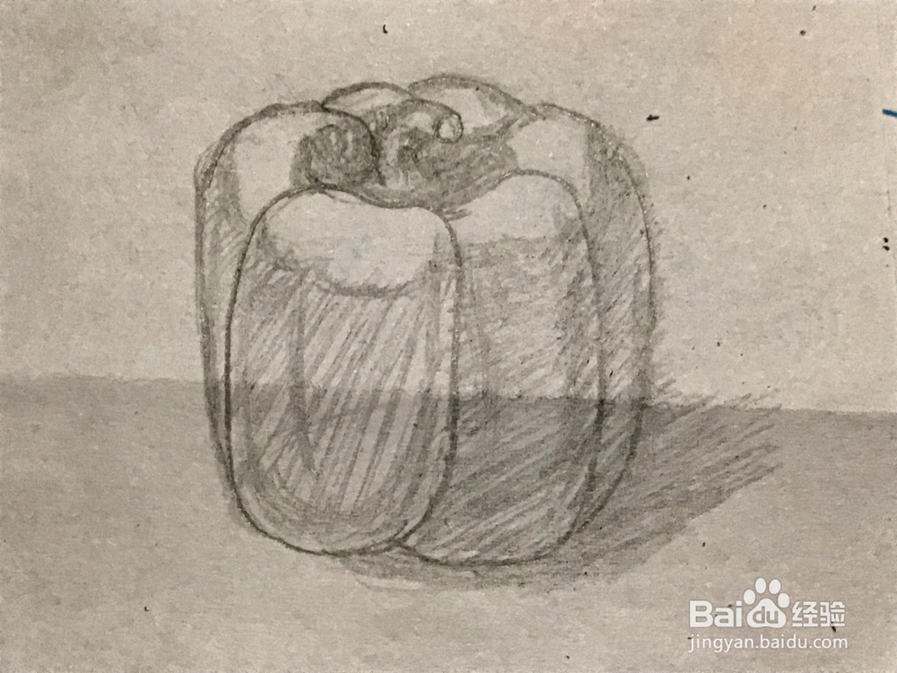 如何通过素描绘画出彩椒?