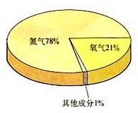 大气中氧气和二氧化碳如何保持平衡
