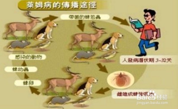 旅游时自我保护的方法
