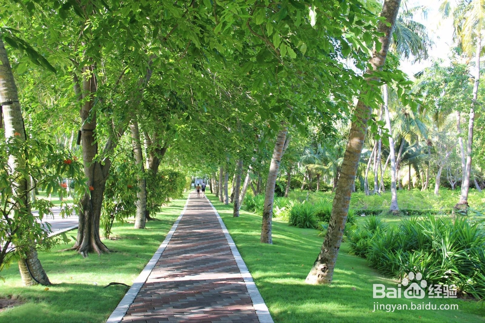 度假胜地之马尔代夫游玩介绍