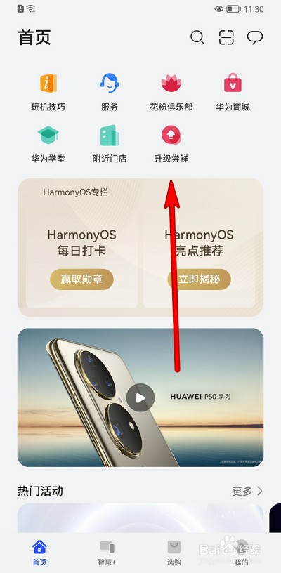 更新鸿蒙系统的手机型号在哪查询
