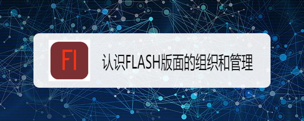 认识FLASH版面的组织和管理