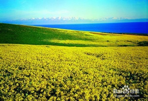 新疆旅游：[1]春天去哪儿