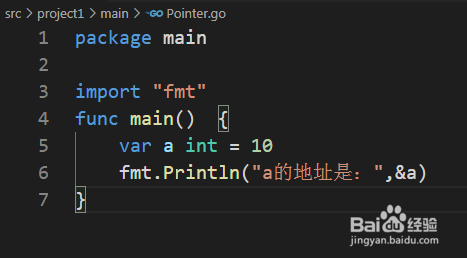 Go语言如何使用指针变量