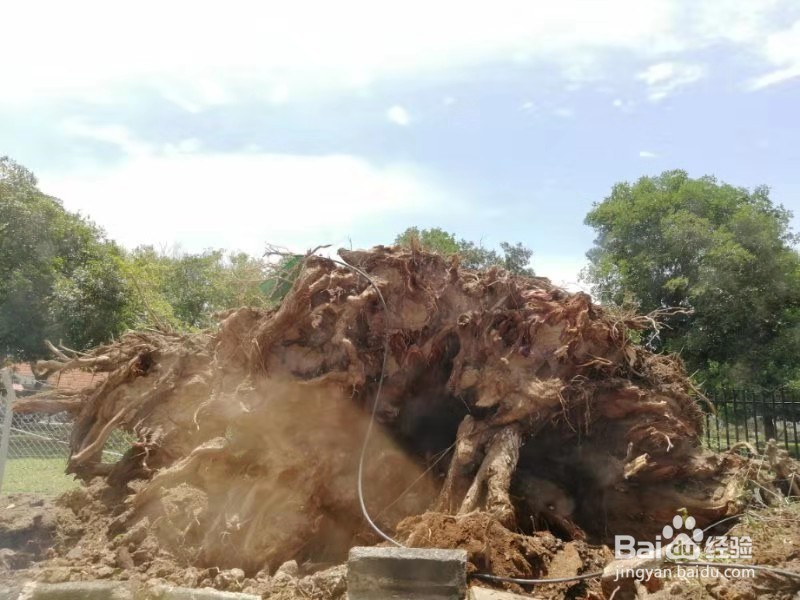 第一出国游马来西亚