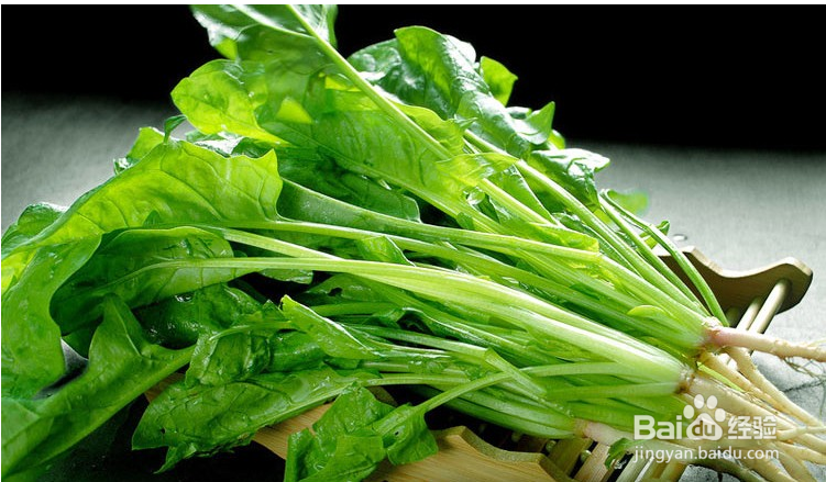 哪些食物能美容养颜