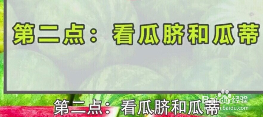 如何挑选又甜又新鲜的西瓜？