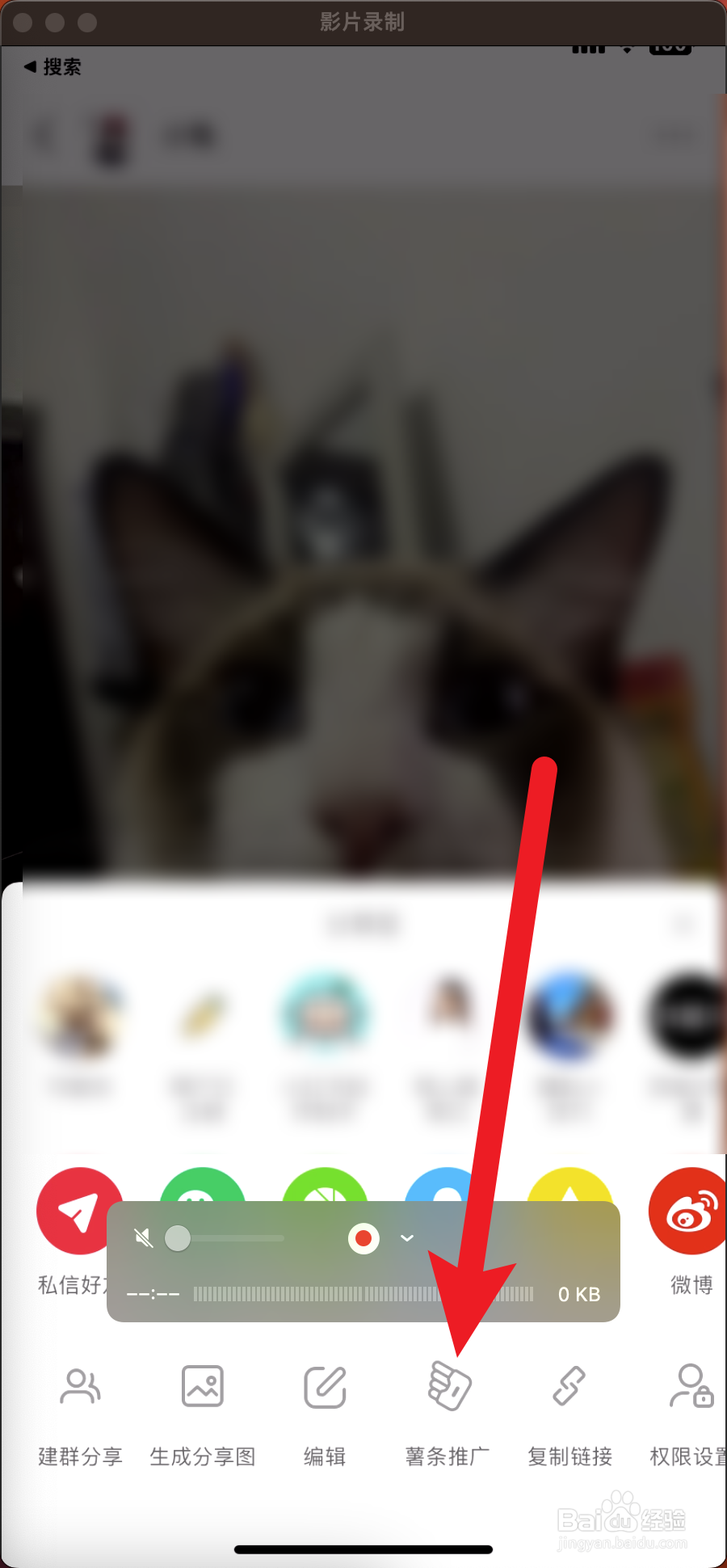 小红书怎么推广