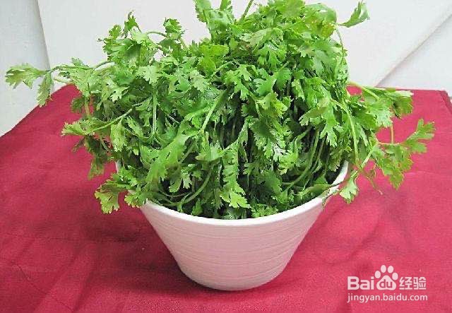 健康养生美食——凉拌海带苗