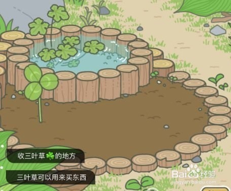 青蛙旅行四叶草怎么得