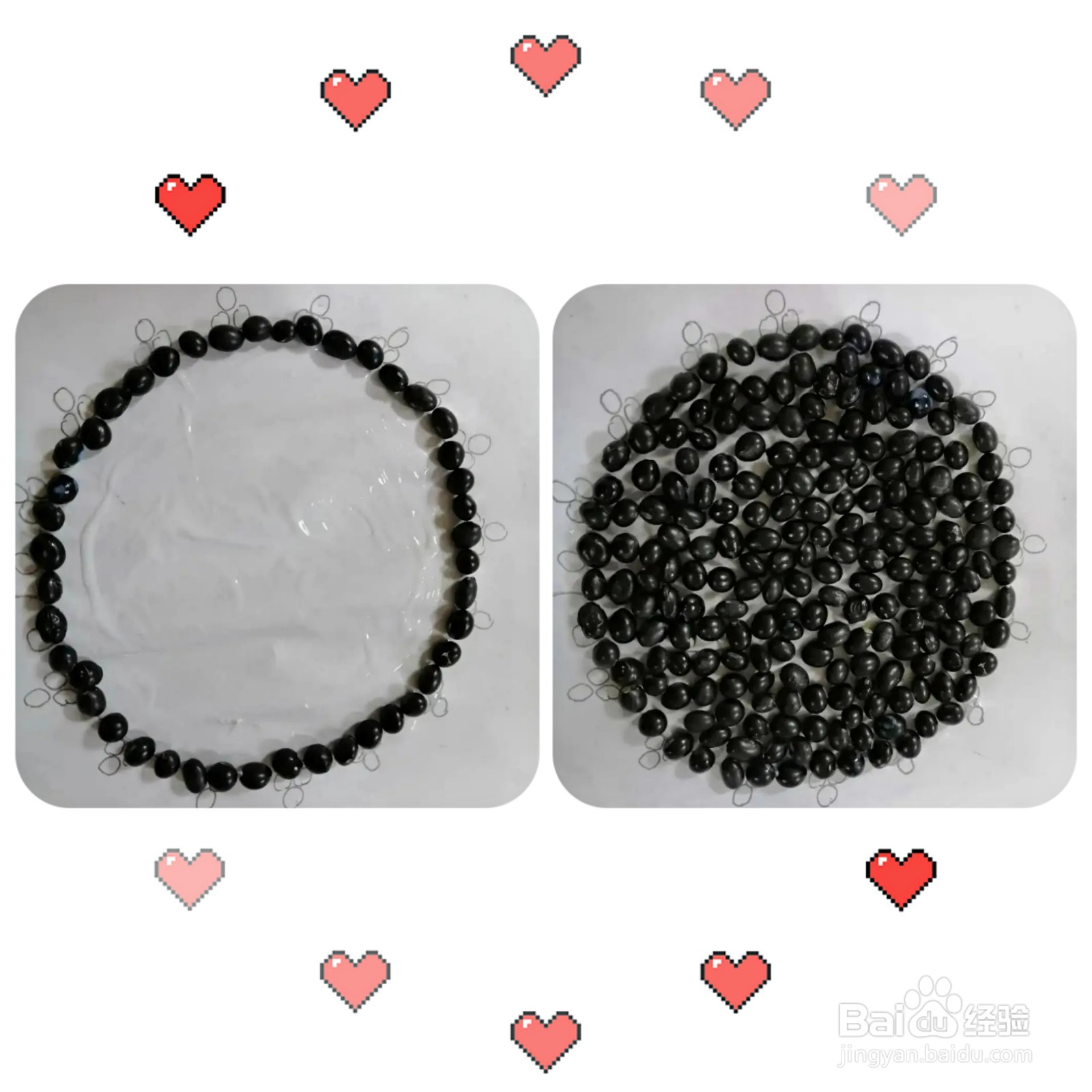 种子做的粘贴画怎么制作