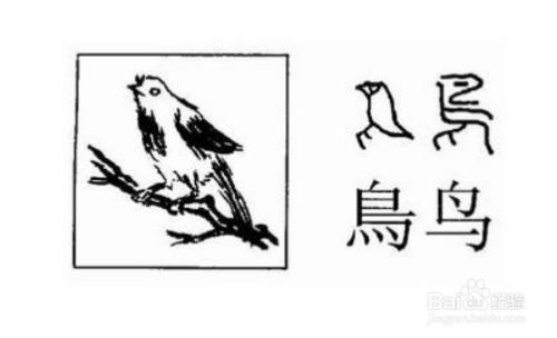 鸟的象形字怎么写 百度经验
