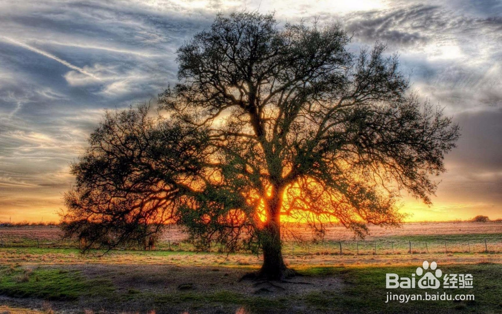 如何让自己的情商提高?