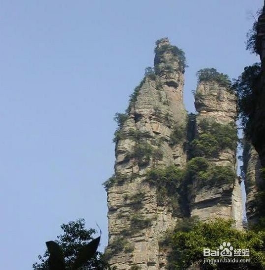 学生张家界旅游免门票攻略